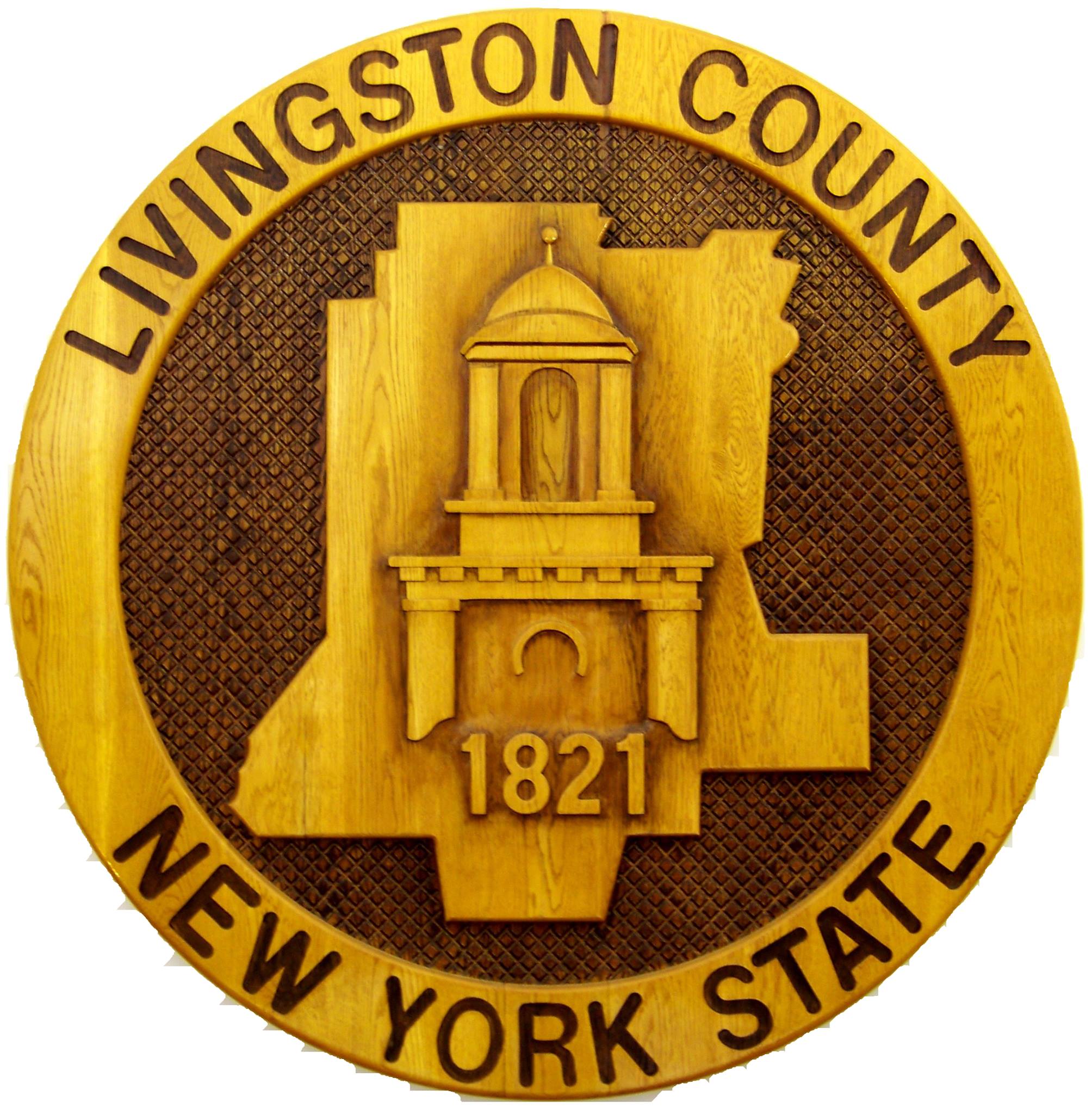 Livingston County Department of Social Services